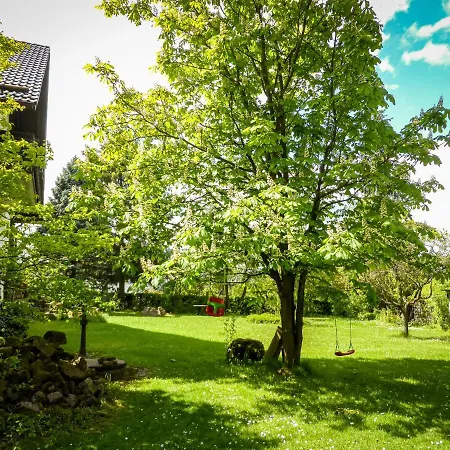 Vor Der Stephanskuppe Sinntal