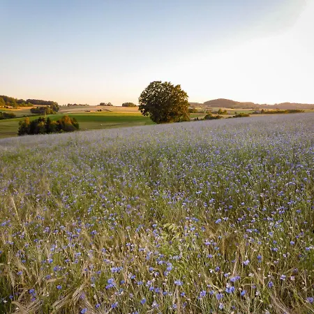Vor Der Stephanskuppe 아파트