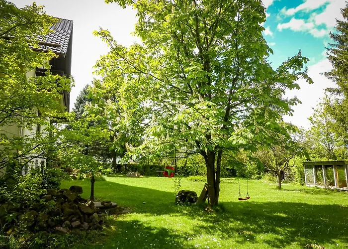 Vor Der Stephanskuppe Sinntal