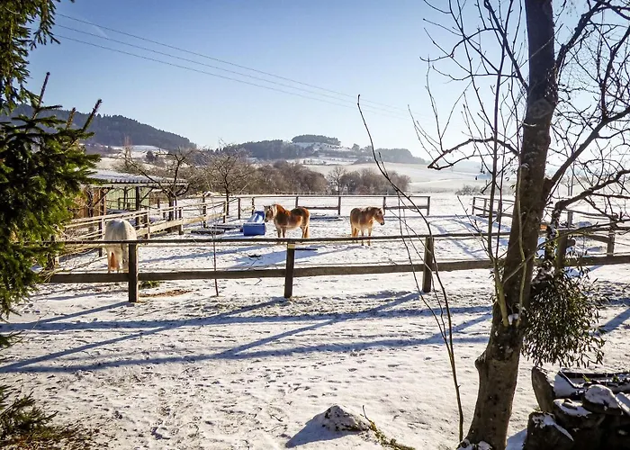 Vor Der Stephanskuppe * Sinntal