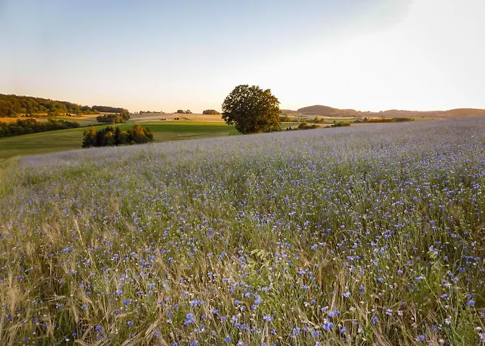 Vor Der Stephanskuppe Daire